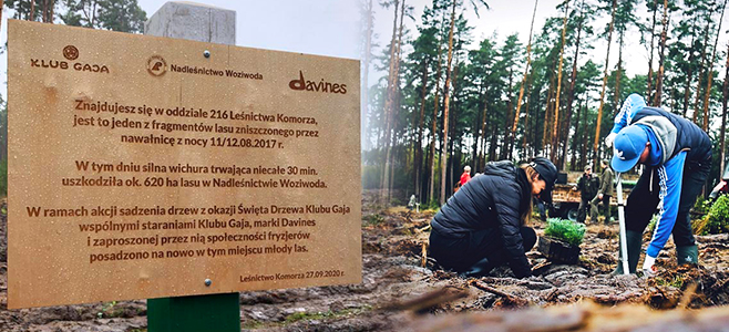 Wichura w 30 minut zniszczyła drzewostan na powierzchni 620 hektarów, rujnując siedlisko zwierząt, również chronionych. W tym roku społeczność skupiona wokół marki o gatunki roślin rodzimych i zagrożonych wyginięciem wzbogaciła Nadleśnictwo Woziwoda. Wielkie sadzenie drzew stanowiło finał 5. edycji kampanii Dzień Zrównoważonego Piękna, autorskiej inicjatywy Davines. Akcja organizowana jest każdego roku w kilkunastu krajach i zrodziła się z potrzeby rekompensacji emisji dwutlenku węgla generowanej podczas produkcji kosmetyków. Do eko-przedsięwzięcia producent angażuje partnerskie salony fryzjerskie i ich klientów.