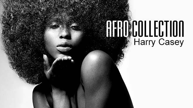 AFRO COLLECTION - Harry Casey