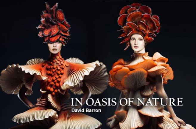 David Barron - IN OASIS OF NATURE