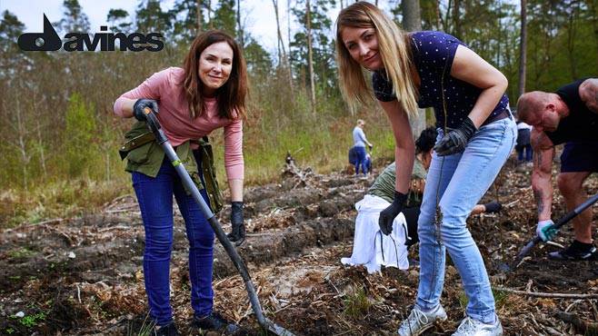 Dzień Zrównoważonego Piękna Davines - fryzjerzy zasadzili 2000 drzew