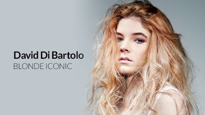 DAVID DI BARTOLO - Blonde Iconic