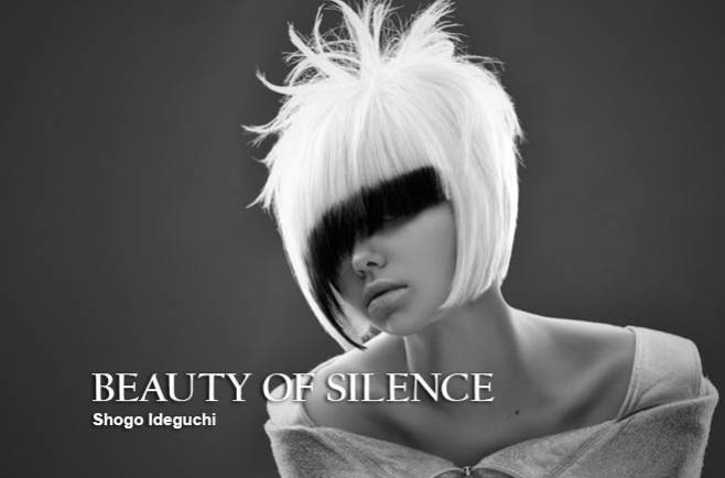 Shogo Ideguchi - BEAUTY OF SILENCE