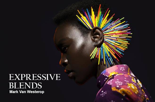 Mark Van Westerop - EXPRESSIVE BLENDS