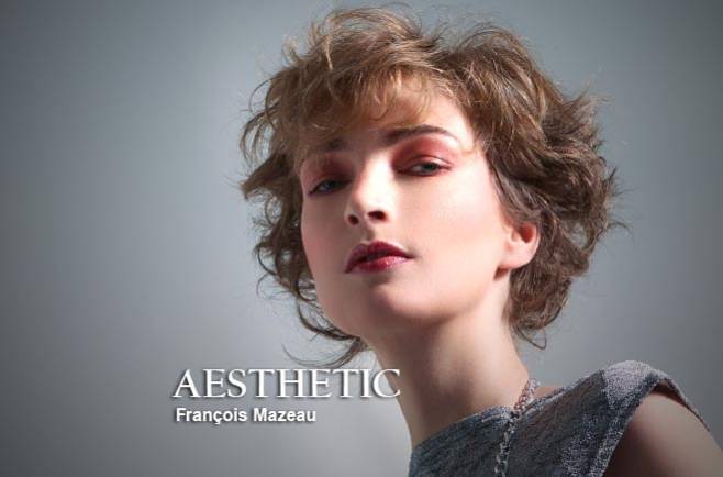 Francois Mazeau - AESTHETIC