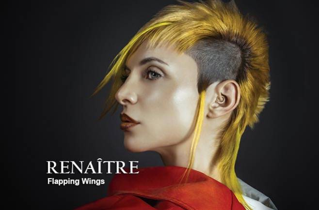 Flapping Wings - RENAITRE