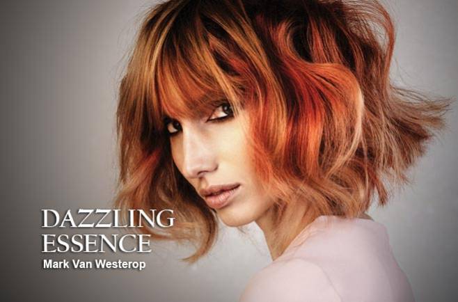 Mark van Westerop - DAZZLING ESSENCE