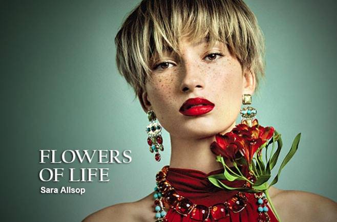 Sara Allsop - FLOWERS OF LIFE