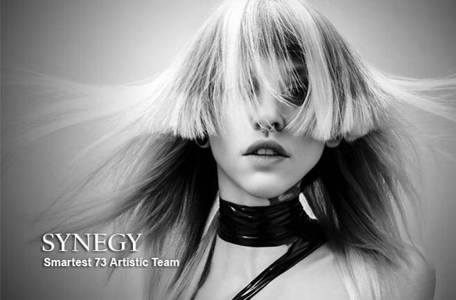 Smartest 73 Artistic Team - SYNEGY