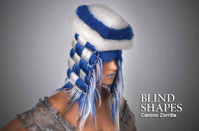 Camino Zorrilla - BLIND SHAPES