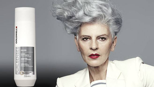 GOLDWELL Dualsenses Silver