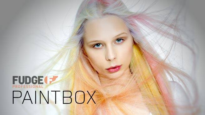 Fudge Professional - PAINTBOX