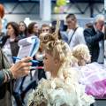 Katowice - HAIR FAIR & BEAUTY FAIR, Festiwal fryzjerski (23-24 listopad 2019)