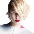 Toni & Guy - 50/50